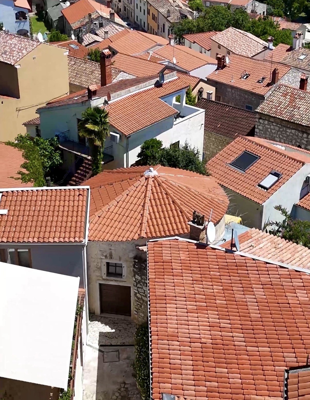 Casanovino Utociste Orsarium Crop